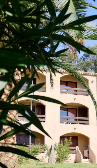 I DELFINI RESIDENCE - Bilocale 4 | Corsica
