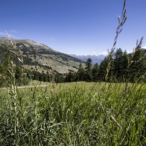Piemonte . . . . . . . . . . . [Sestriere]