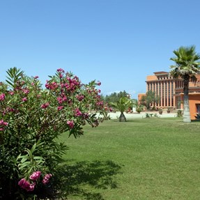 Toscana . . . . . . . . . . . . [Calambrone Tirrenia]