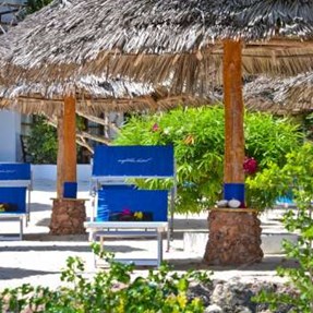 MY BLUE HOTEL