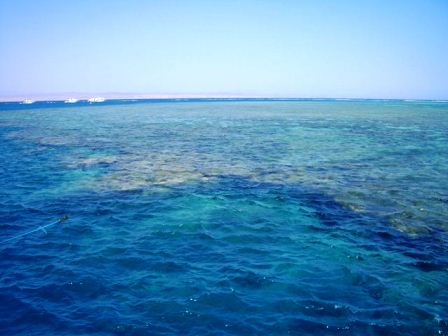 Offerta a solo 483 per Viaggi in Pacchetto Viaggi Last Minute in Pacchetto a solo 483