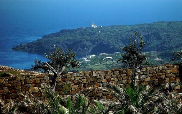 Offerta AGRITURISMO ZINEDI Offerta: AGRITURISMO ZINEDI