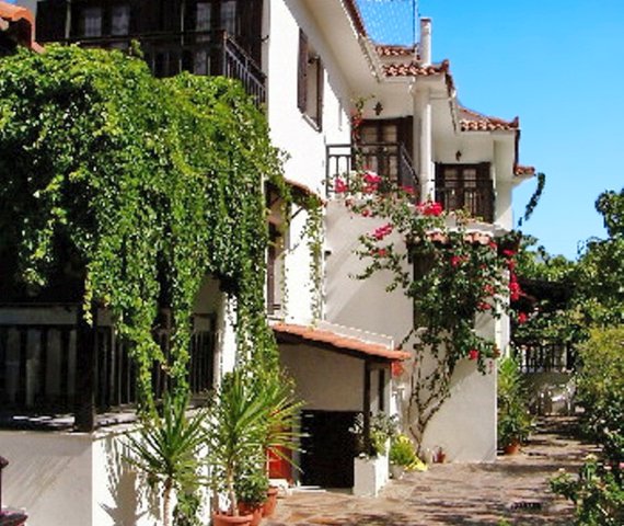 HOTEL GOLDEN SUN | Samos