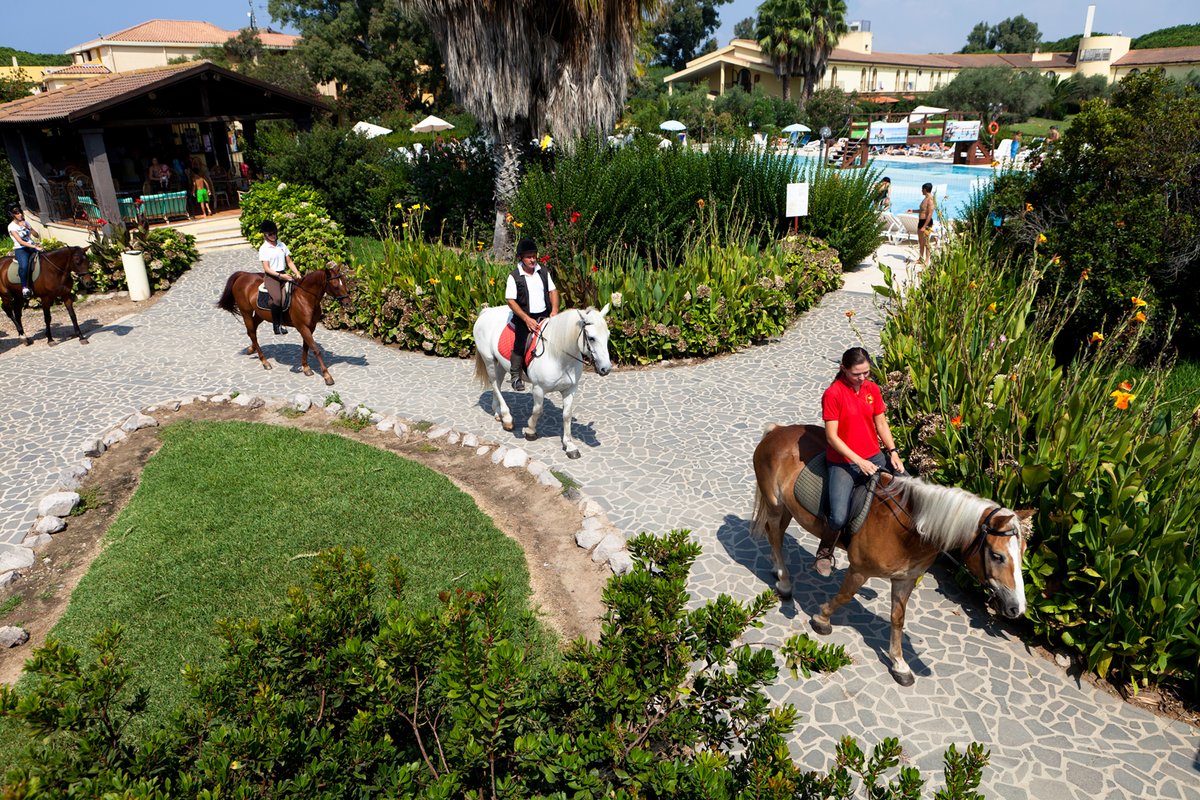HORSE COUNTRY RESORT CONGRESS & SPA - HOTEL | Arborea