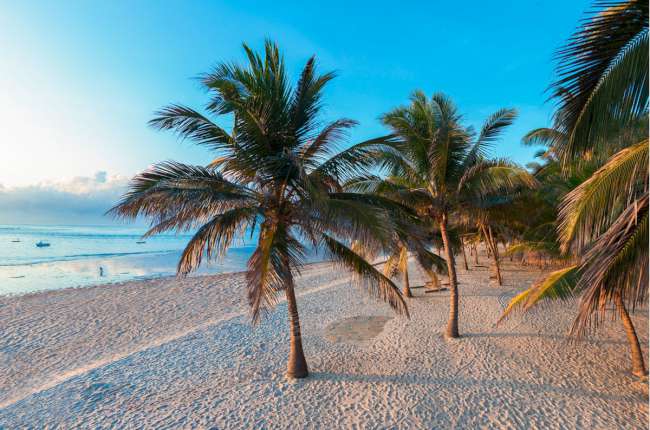 AMANI TIWI BEACH RESORT | Tiwi Beach