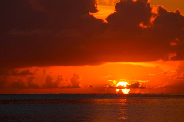 CHARELA INN BEACH RESORT | Negril