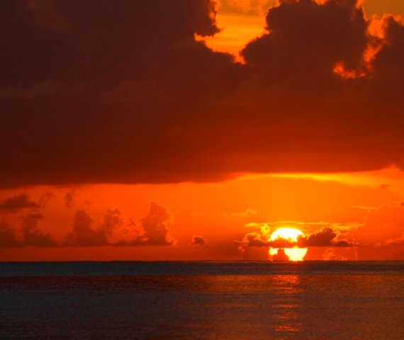 CHARELA INN BEACH RESORT | Negril