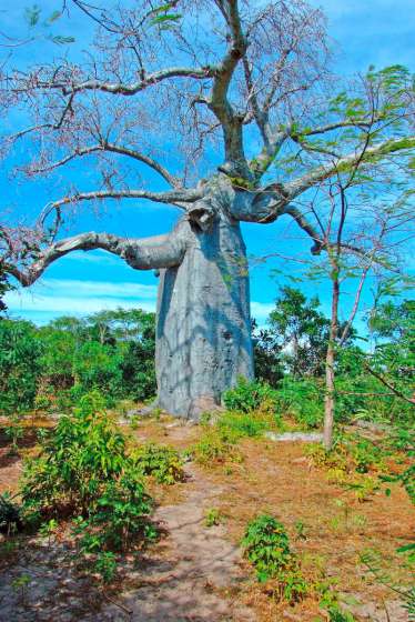 GRAN TOUR DEL NORD | Madagascar