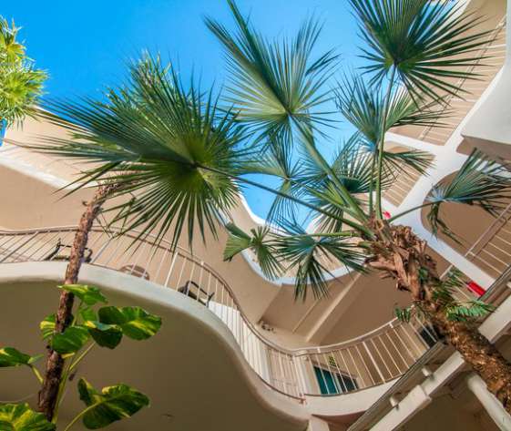 HOTEL COCORIO | Playa del Carmen