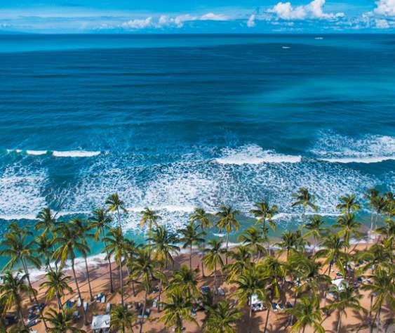 VIVA V SAMAN\U00E0 BEACH RESORT | Las Terrenas de Samanà-Santo Domingo