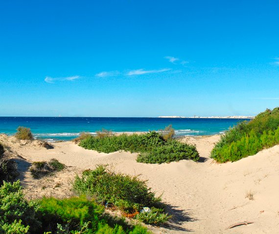 VIVOSA APULIA RESORT | Marina di Ugento