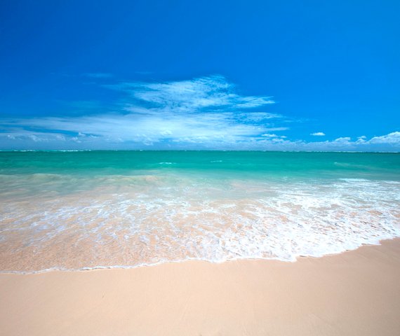 WHALA!BAVARO BEACH RESORT | Punta Cana
