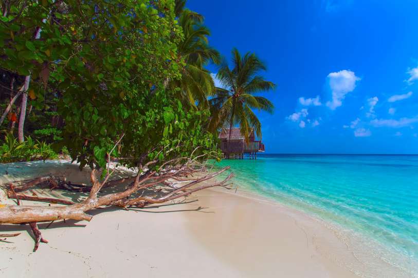 AAAVEEE NATURE'S PARADISE ISLAND RESORT | Atollo di Dhaalu