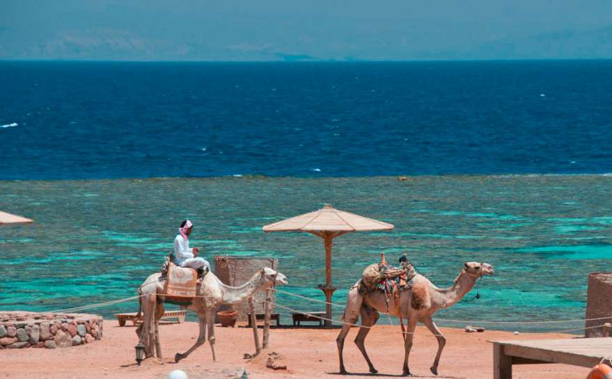 DANIELA HOTEL | Dahab
