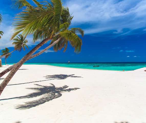 AAAVEEE NATURE'S PARADISE ISLAND RESORT | Atollo di Dhaalu