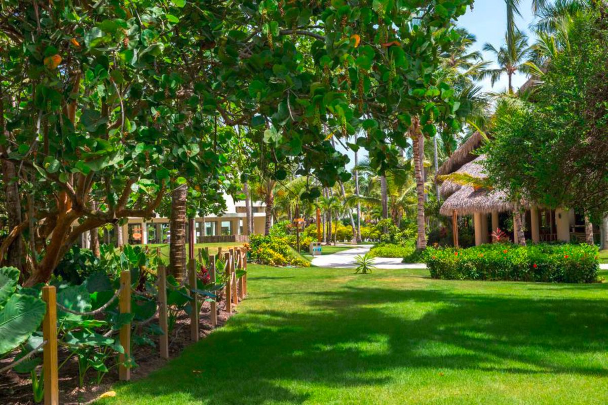 IMPRESSIVE RESORTS & SPA PUNTA CANA | Punta Cana