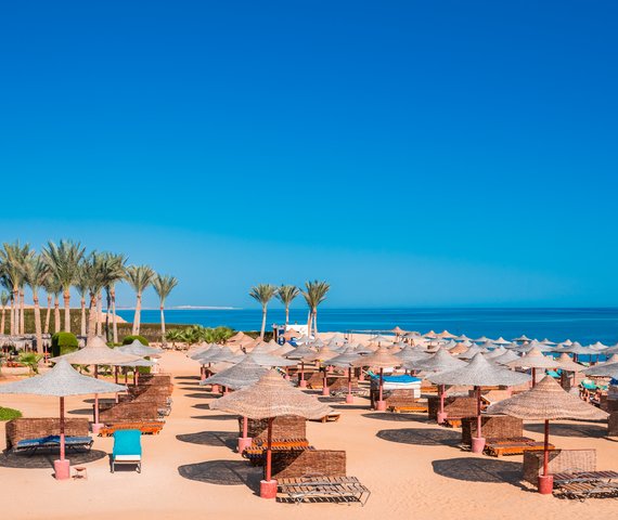 GEMMA BEACH RESORT | Marsa Alam