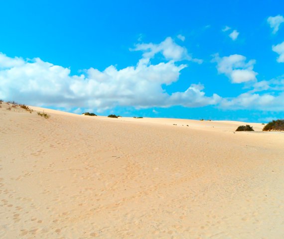 APPARTAMENTI MAXORATA BEACH | Fuerteventura