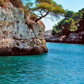 Maiorca