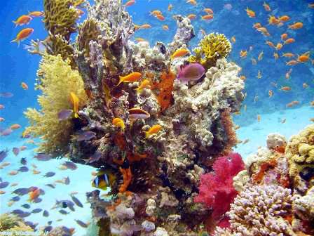 Offerta a solo 569 per Viaggi in Pacchetto Viaggi Last Minute in Pacchetto a solo 569