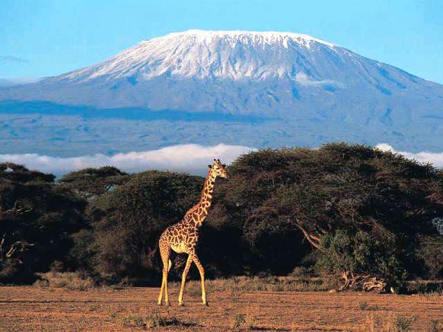 Offerta a solo 2759 per Viaggi in Tour Viaggi Last Minute in Tour a solo 2759