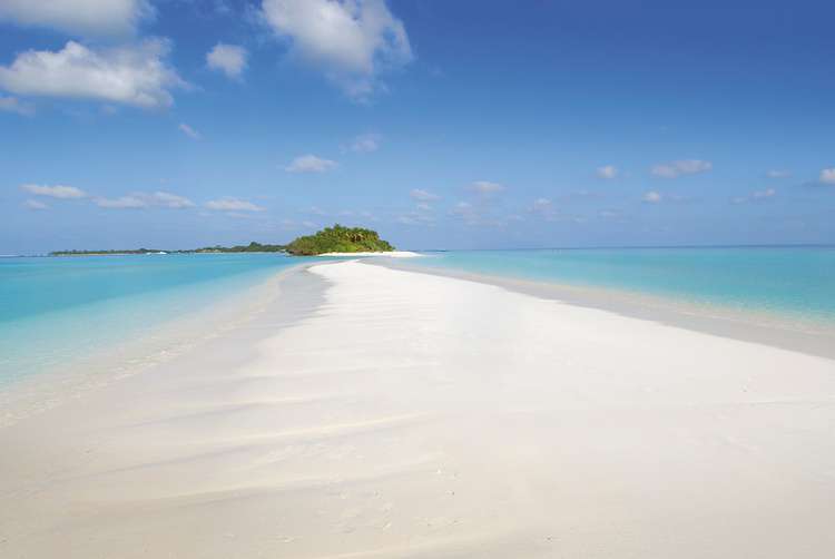 Download this Kuramathi Island Resort picture