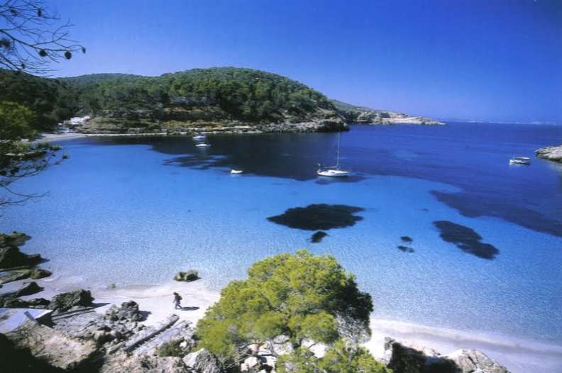 PINERO BAHIA DE PALMA CONDOR HOUSE PINERO BAHIA DE PALMA CONDOR HOUSE