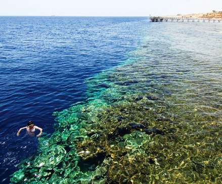 REHANA SHARM RESORT