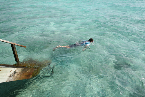 Maldive, immersioni nell'atollo di Ari Nord