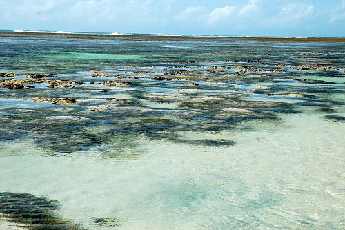 Spiaggia di Tiwi, Kenya