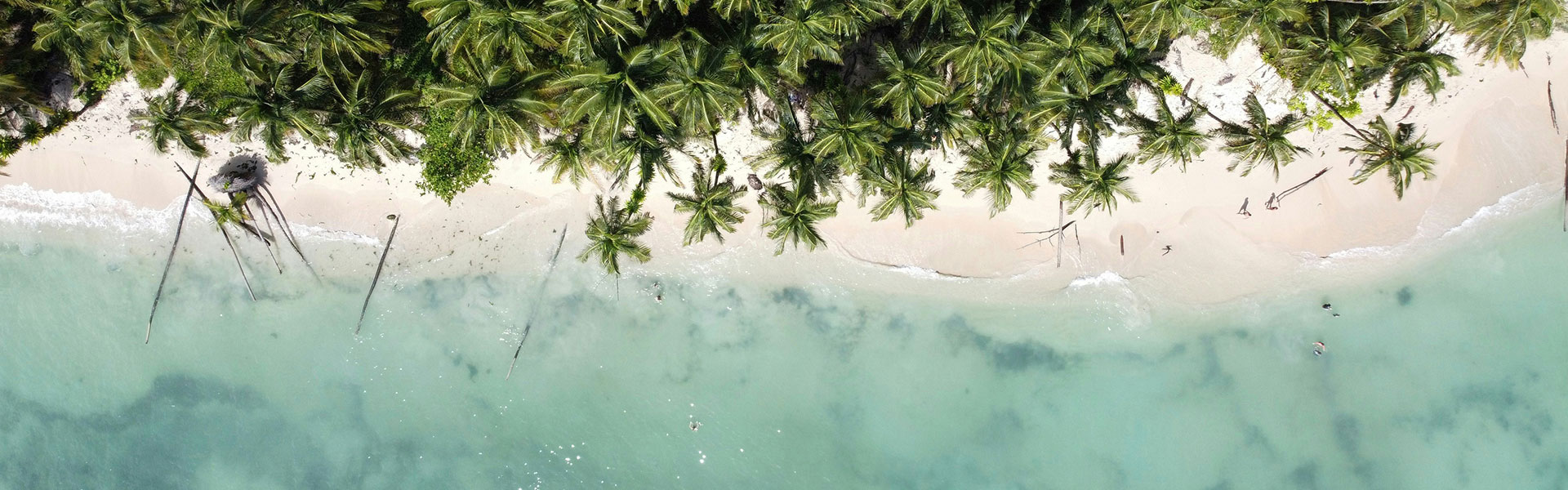 Last Minute Tutta la destinazione