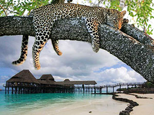 Safari e Mare Zanzibar