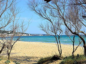 Viaggi e vacanze Torre Vado