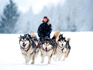 Tour della Finlandia