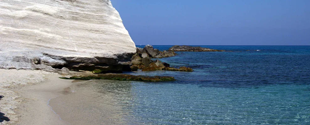 Parghelia