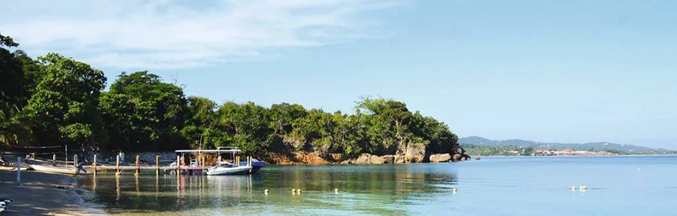 Lucea