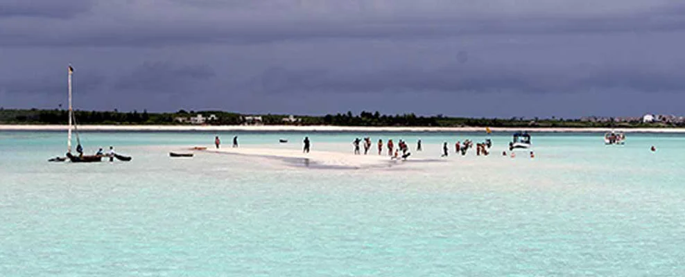 Mayungu