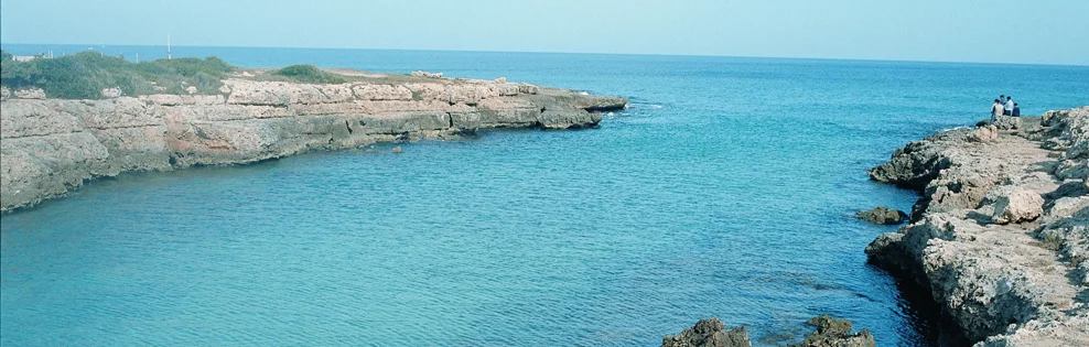 Lido Marini