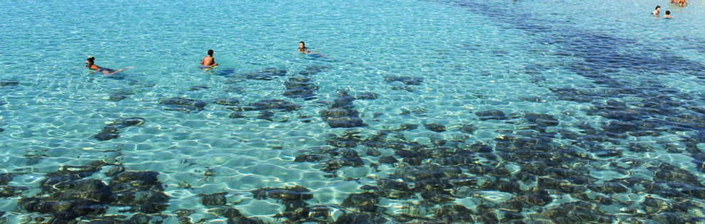 Marina di Ostuni
