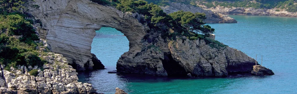 Varano