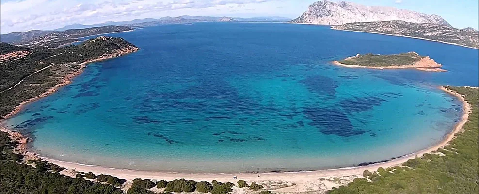 Capo Coda Cavallo