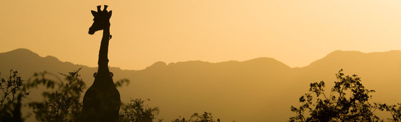 Tour Sud Africa