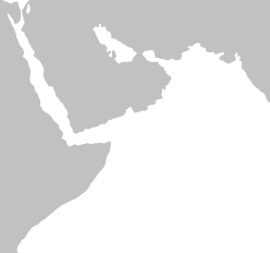 Medio Oriente