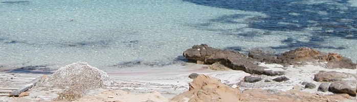 Maiorca