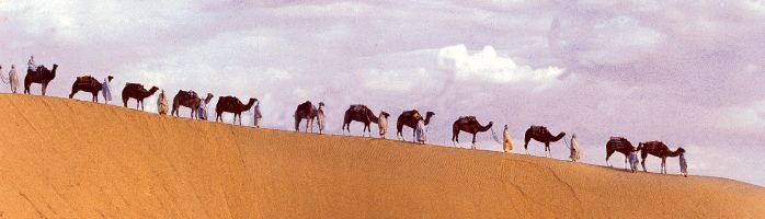 tour-deserto